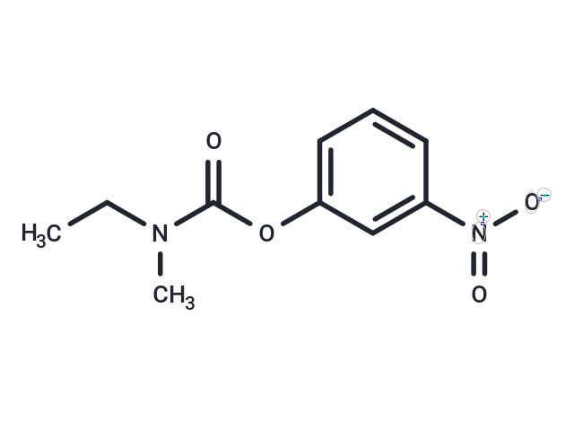 Rivastigmine carbamate impurity