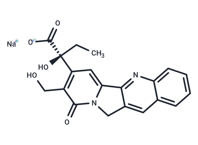 Sodium Camptothecin