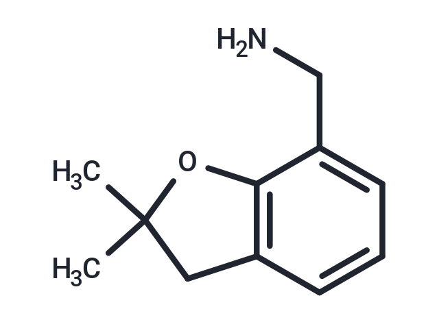 (2,2-Dimethyl-2,3-dihydro-1-benzofuran-7-yl)methylamine