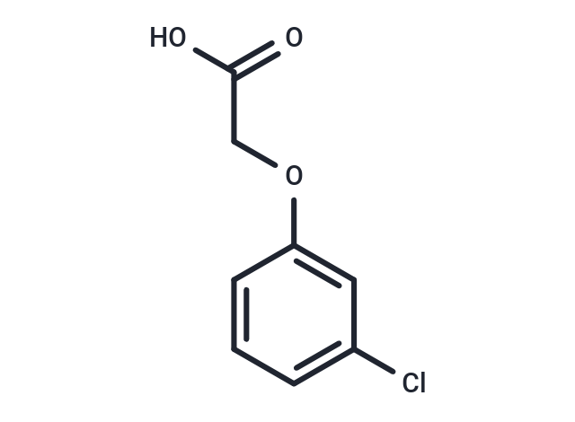 3-Chlorophenoxyacetic acid