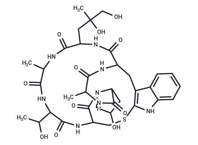 Phalloidin