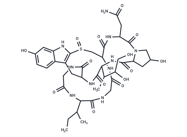 alpha-Amanitin