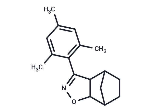 SN 2