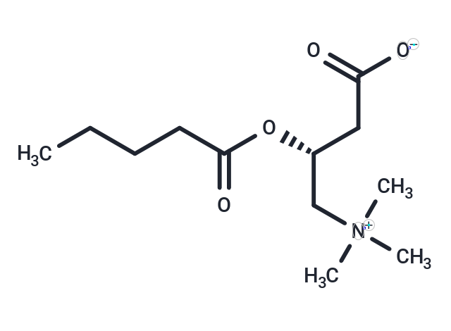 Valerylcarnitine