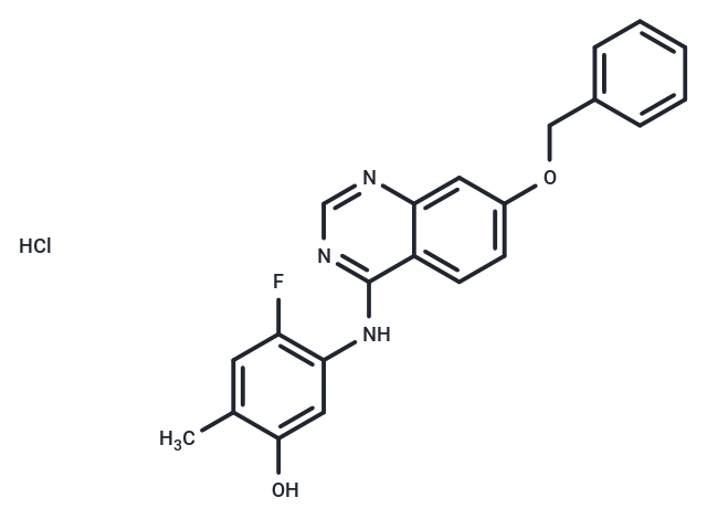 ZM323881 hydrochloride