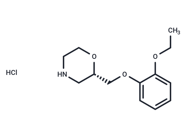 (S)-Viloxazine Hydrochloride