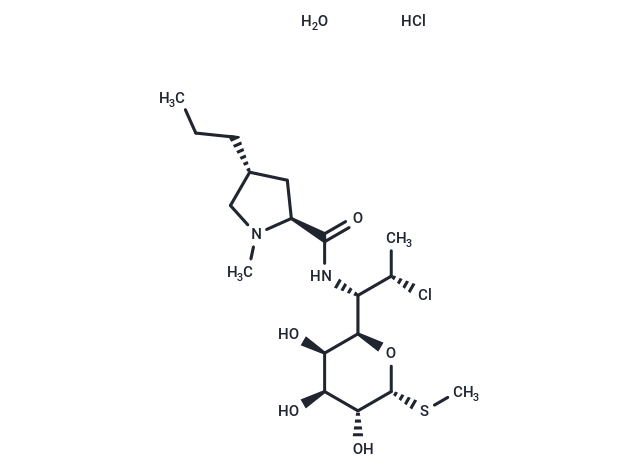 Clindamycin hydrochloride monohydrate