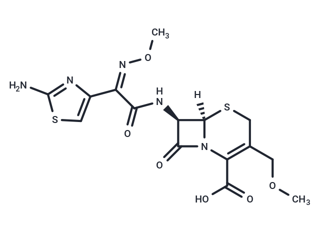 Cefpodoxime (free acid)