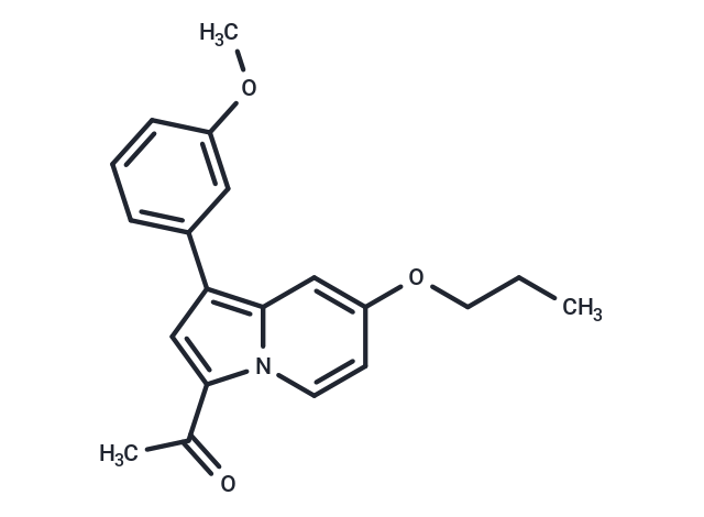 GSK8573