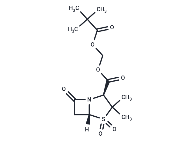 Sulbactam pivoxil