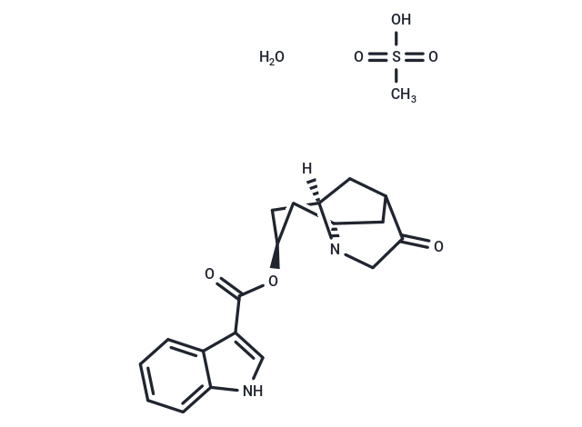 Dolasetron Mesylate