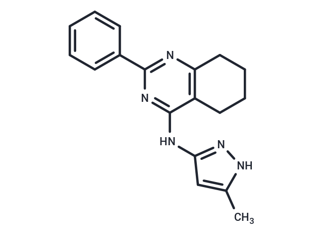 GSK3i XIII