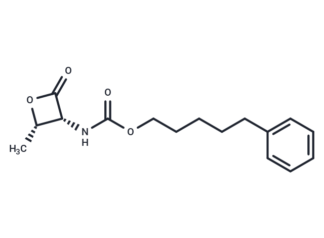 ARN 077