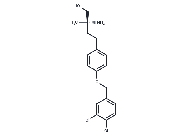 P053