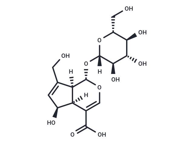 Deacetylasperulosidic Acid