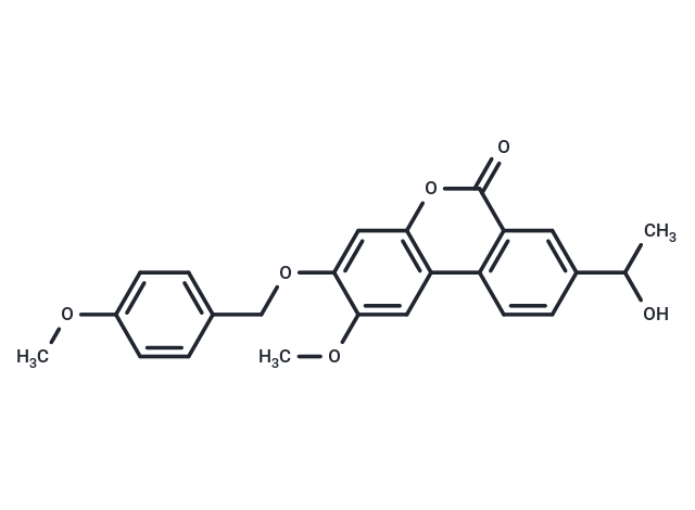 Palomid 529