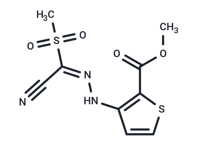 HIF-2α-IN-4