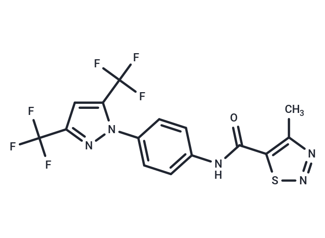 YM-58483