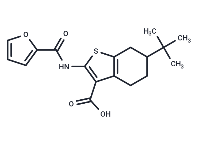 CaCCinh-A01