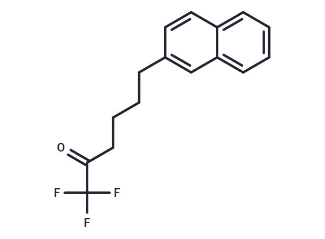 FKGK 18