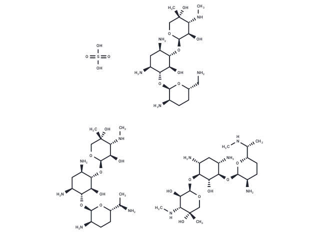 Gentamicin sulfate