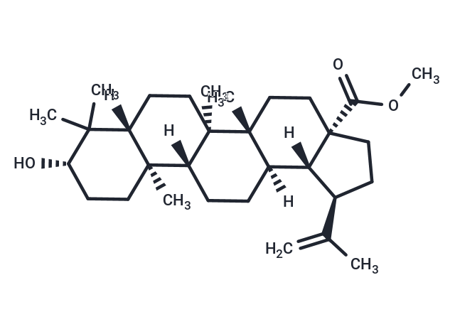 Betulinic acid methyl ester