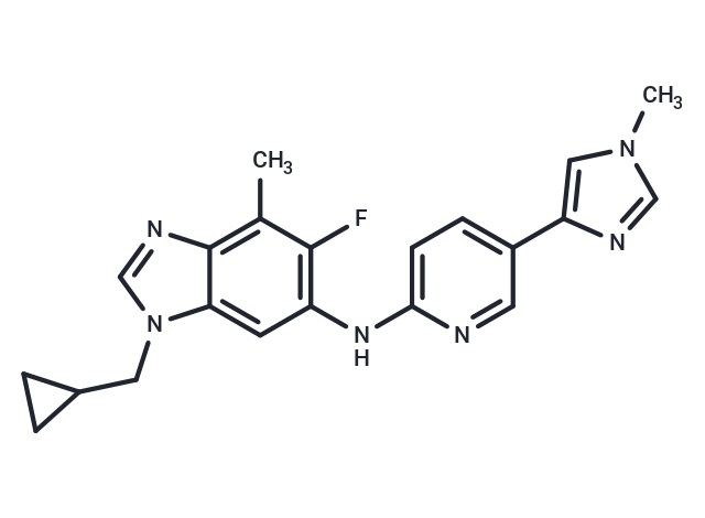 ONO-8590580