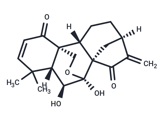 Eriocalyxin B