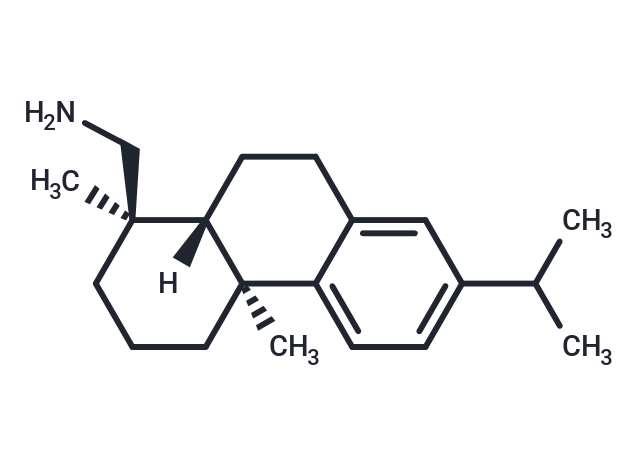 Dehydroabiethylamine