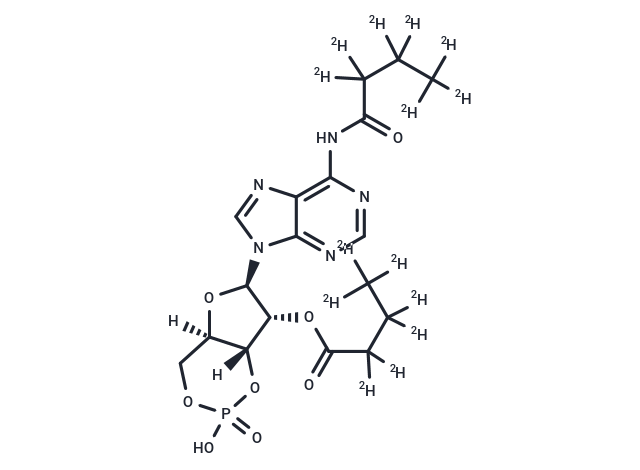 Bucladesine-d14