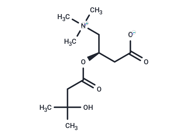 3-Hydroxyisovalerylcarnitine