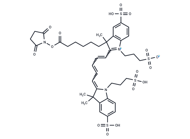 AF647-NHS ester