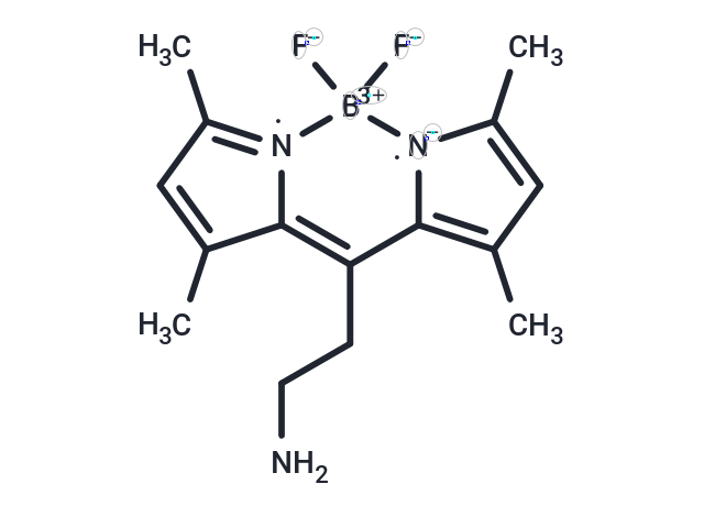 BODIPY FL Ethylamine