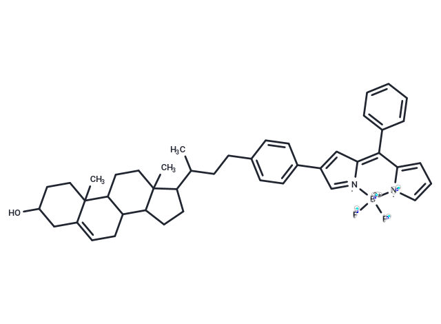 BODIPY-cholesterol conjugate-1