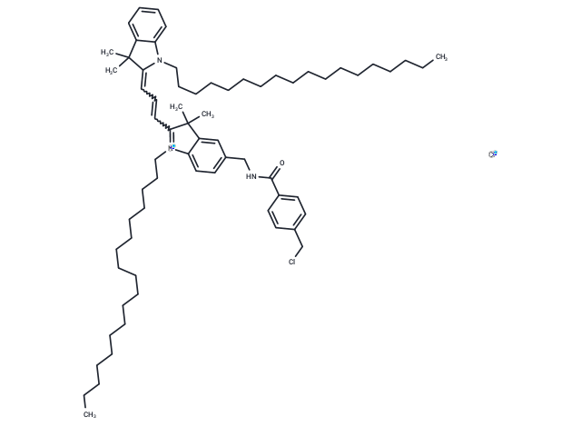 CellTracker CM-DiI