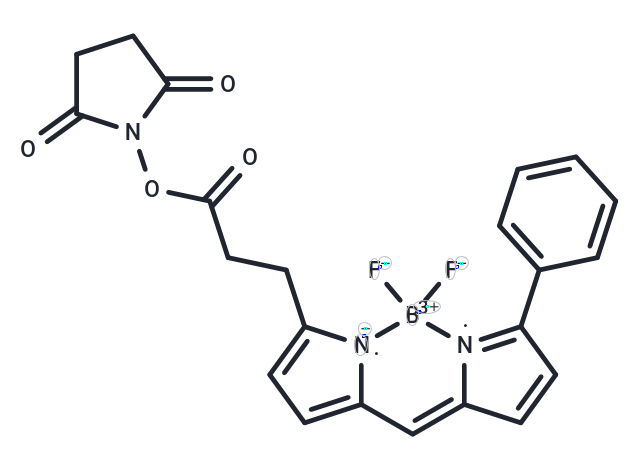 BDP R6G NHS ester