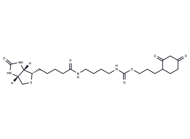 DCP-Bio3