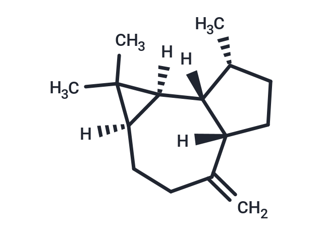 Alloaromadendrene