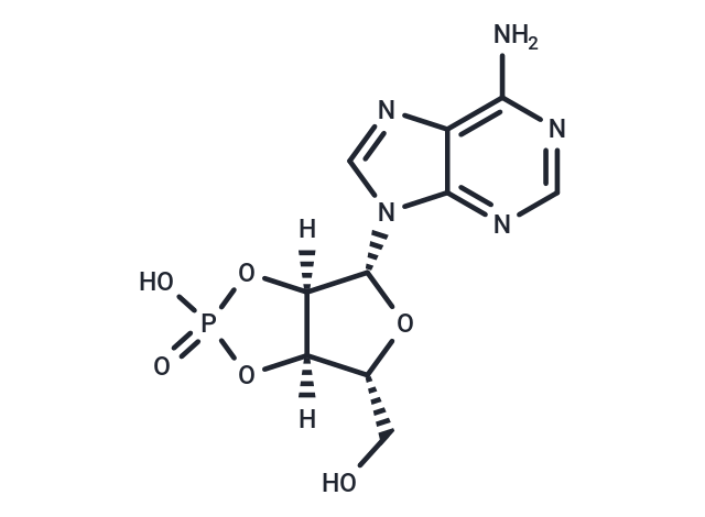 Adenosine 2',3'-cyclic phosphate