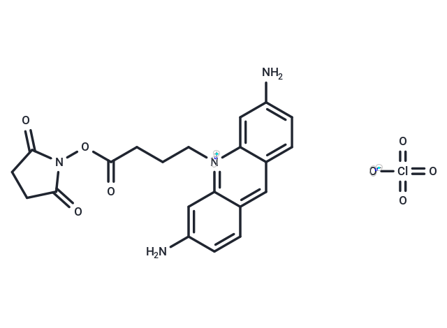 ATTO 465 NHS ester