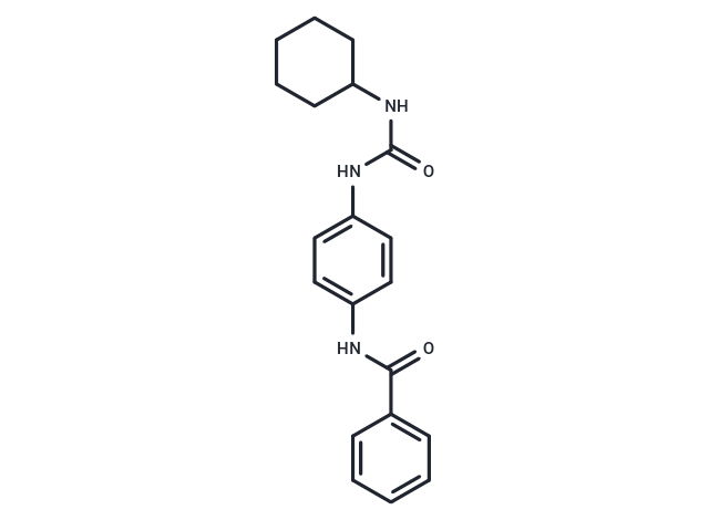 DS-22-inf-021