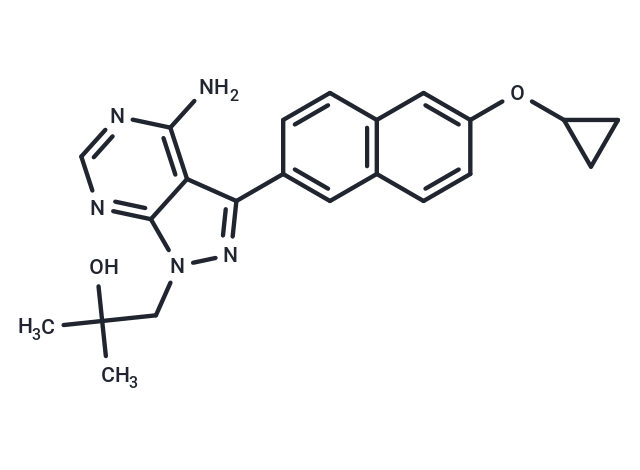 BKIDC-1553