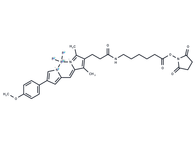 BODIPY TMR NHS ester