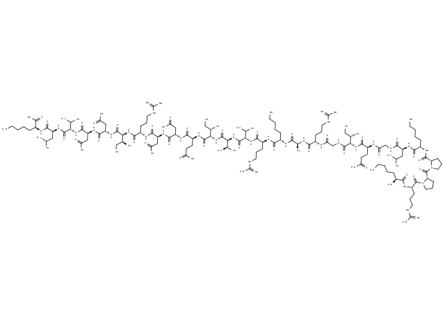 CaMKII inhibitory peptide KIIN