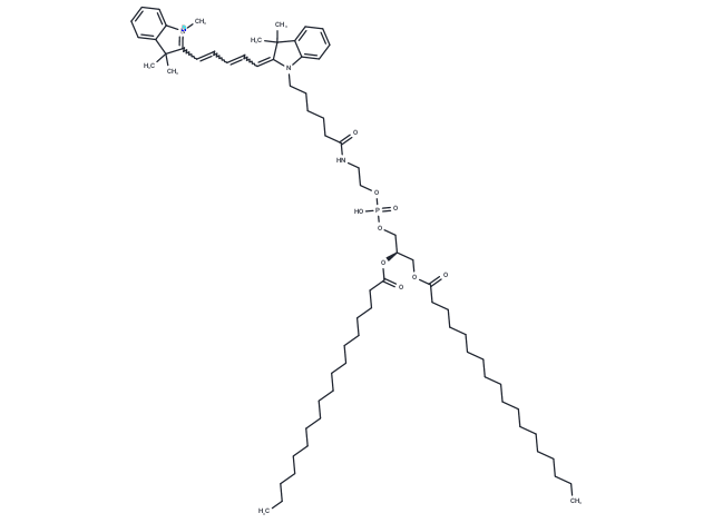 Cy5-DSPE