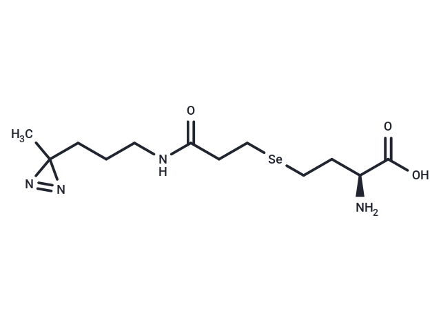 DiZHSeC