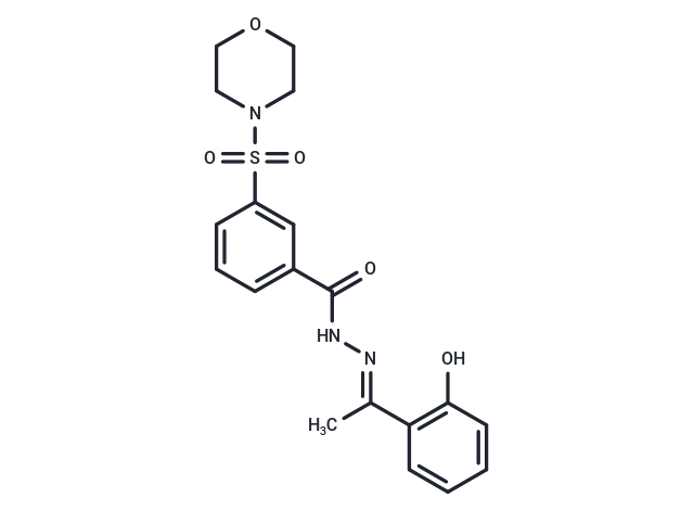 LSD1-IN-29