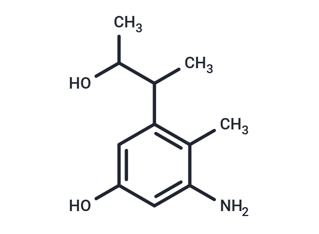 Halociline