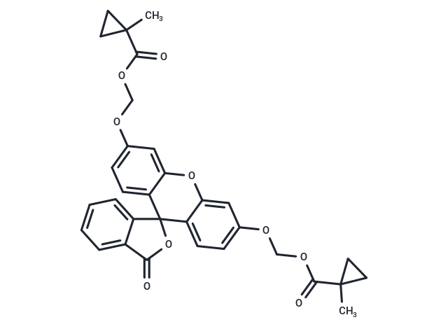 Fluorescein-CM2