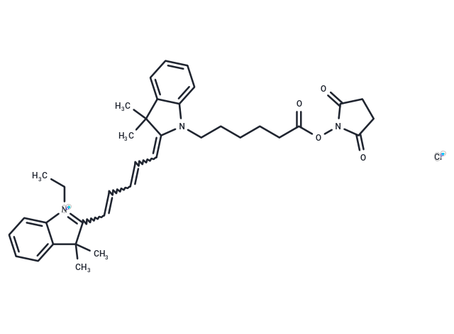 NIR-641 N-succinimidyl ester